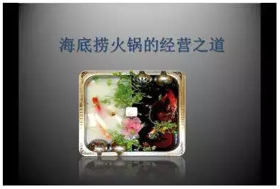 海底捞服务员杨丽娟_海底捞服务员收入